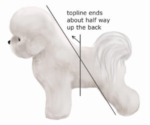 topline